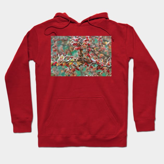 Frosted Red Berries Hoodie by Violaman